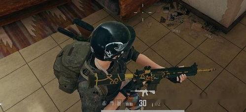 绝地求生新皮肤爆料最新,炫酷造型来袭,游戏体验再升级!