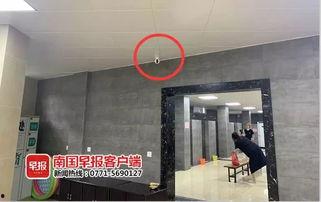 广西王女士最新爆料,揭秘惊人内幕!