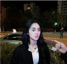 杨琳最新爆料视频大全下载,揭秘幕后真相,带你走进事件核心