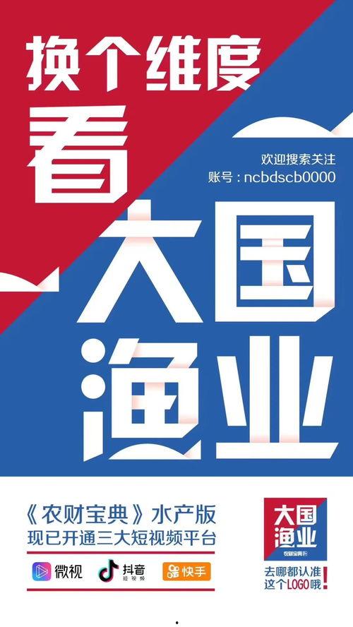 最新福建房产爆料视频,揭秘热门区域房价走势与投资潜力