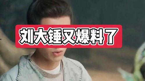 刘大锤最新爆料ab,揭秘AB惊人内幕